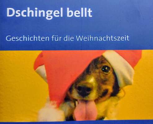 Dogorama Photo Challenge - Festliches Accessoires-Beitrag-Bild