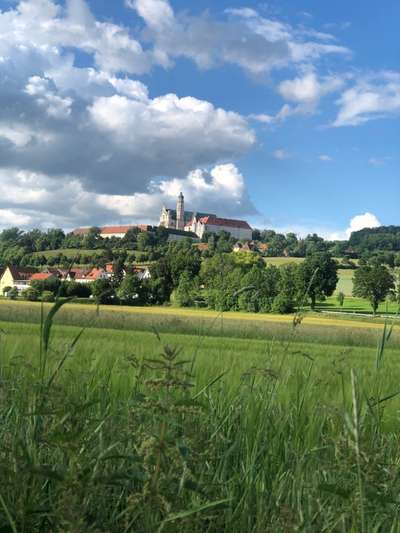 Hundeauslaufgebiet-Naturschutzgebiet Zwing-Bild