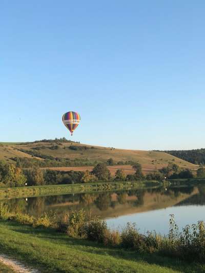 Hundeauslaufgebiet-Härtsfeldsee-Bild