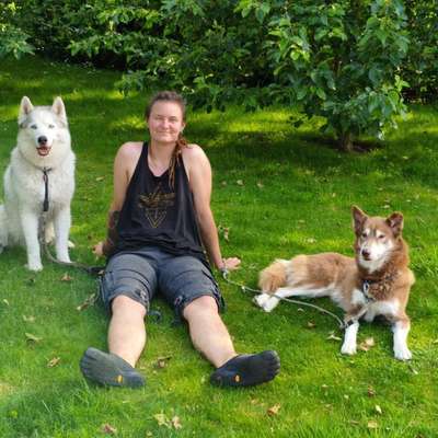 Hundetreffen-Freies Angebot-Bild