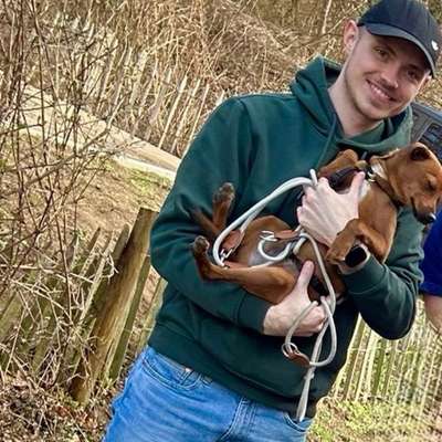 Hundetreffen-Gassi gehen / Spielrunde-Profilbild