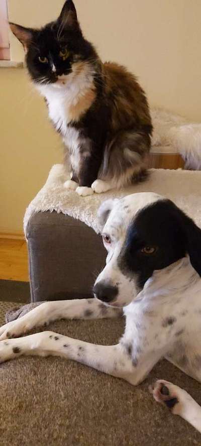 Challenge 30  Freundschaft-Beitrag-Bild