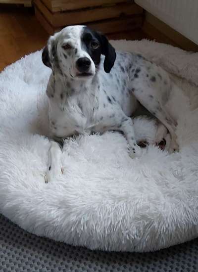 Lieblingsbild :D-Beitrag-Bild