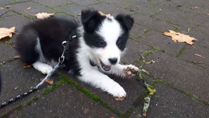 Fotochallenge No. 5-Beitrag-Bild