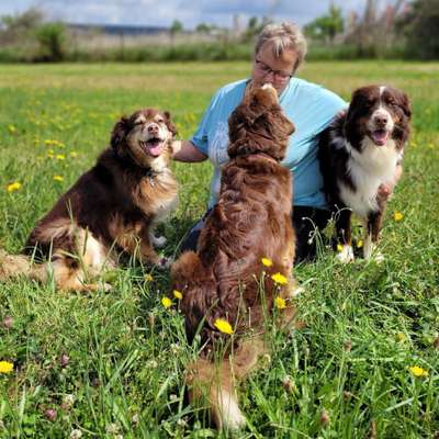 Hundeschulen-Brigitte Hirsch-Bild