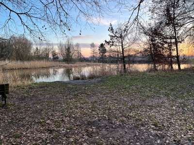 Hundeauslaufgebiet-Alte Aller in Etelsen-Bild