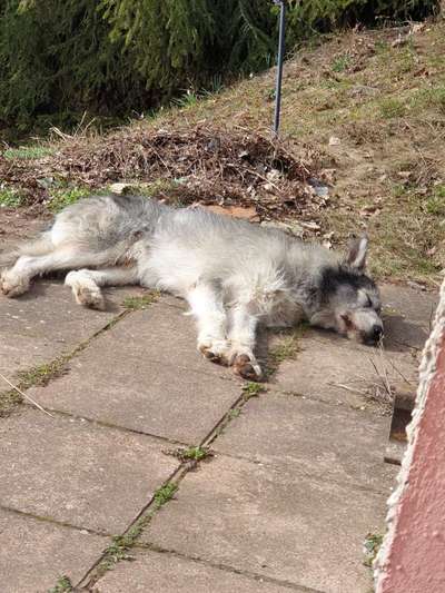 Gibt es Namens-Verwandte-Beitrag-Bild