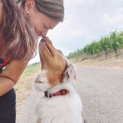 Hundetreffen-Spaziergang im Wald