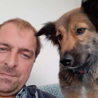 Hundetreffen-Treffen zum Spielen und oder Gassirunde-Profilbild