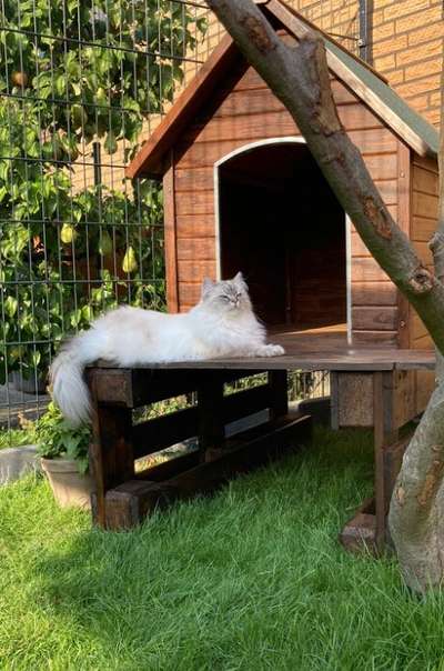 Upcycling - aus Alt mach Neu-Beitrag-Bild