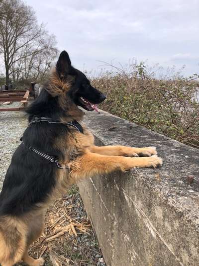 45. Handy - Foto - Challenge-Beitrag-Bild