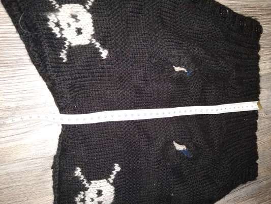 Hundepullover mit Totenköpfen-Beitrag-Bild