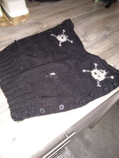 Hundepullover mit Totenköpfen-Beitrag-Bild