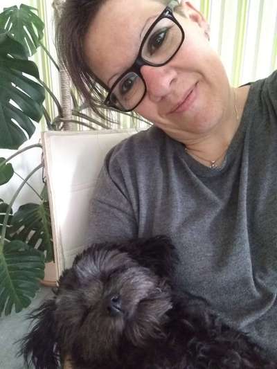 Bolonka Zwetna 🐾-Beitrag-Bild