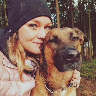 Hundetreffen-Hundefreunde für Cooper  gesucht