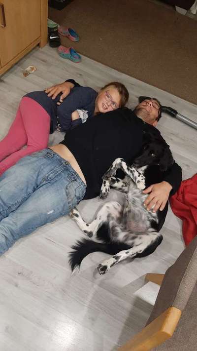 Hund und Natur-Beitrag-Bild