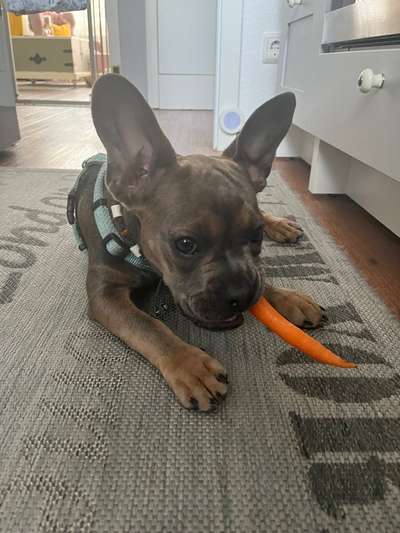 23. Farben / Fotochallenge - Türkis --Beitrag-Bild