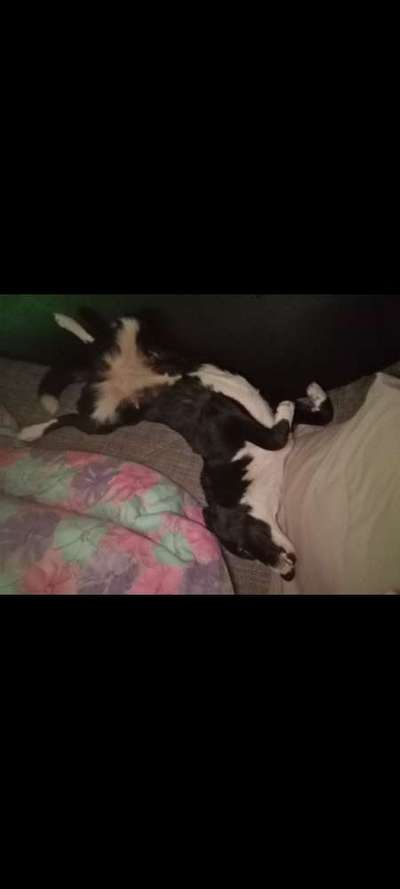 Fotochallenge Nr.65-Beitrag-Bild