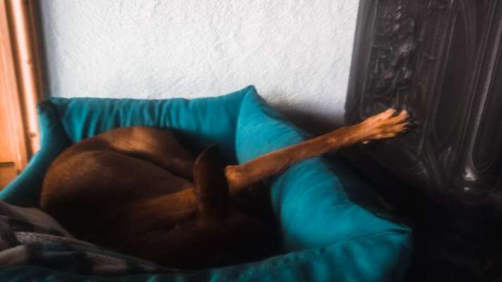 Die unbequemsten und lustigsten Schlafpositionen-Beitrag-Bild