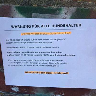 Giftköder-Giftköder-Bild