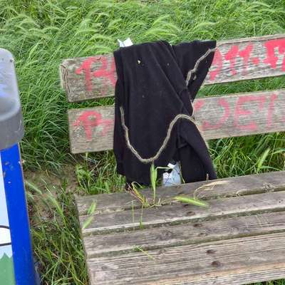 Giftköder-Eichen-Prozessionsspinner-Bild
