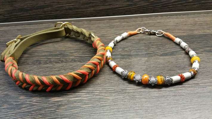 Floh und Zeckenmittel-Beitrag-Bild