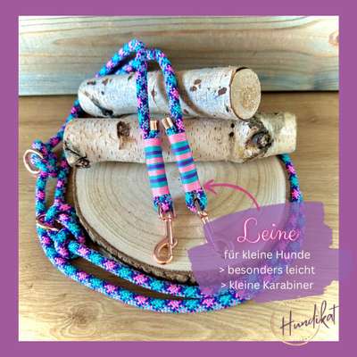 %{de_profession_title}-Tauleine für kleine Hunde (Petit)-Bild