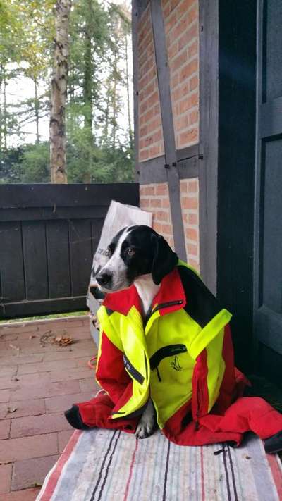 Die Dogorama Wochen Challenge: “Regenspaziergänge"-Beitrag-Bild