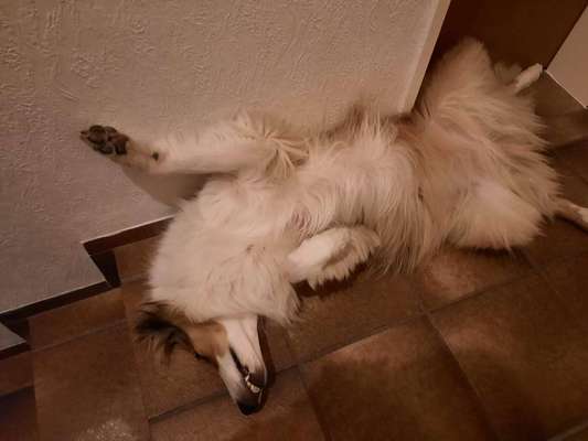 Fotochallenge Nr.65-Beitrag-Bild