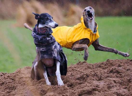 Wie übersteht ihr Silvester?-Beitrag-Bild