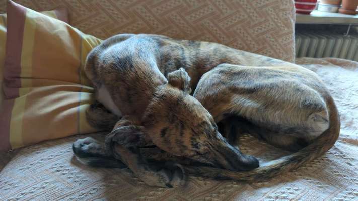 Wie übersteht ihr Silvester?-Beitrag-Bild