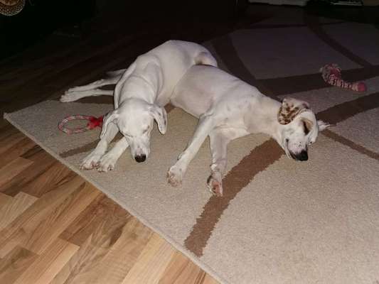 Die unbequemsten und lustigsten Schlafpositionen-Beitrag-Bild