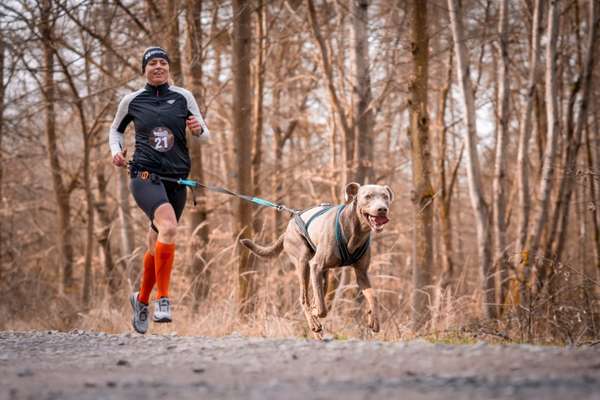 Hundetreffen-Workshop Canicross Beginner-Bild