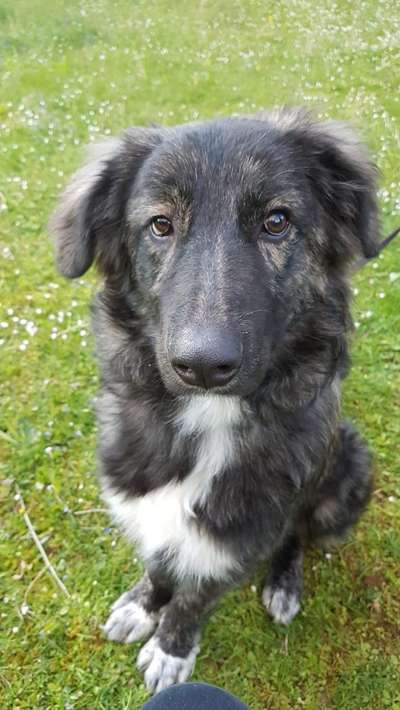 Fotochallange Nr. 57     PORTRÄT.   Beendet!!!!!!!!-Beitrag-Bild