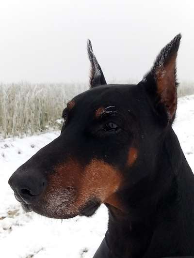 Fotochallange Nr. 57     PORTRÄT.   Beendet!!!!!!!!-Beitrag-Bild