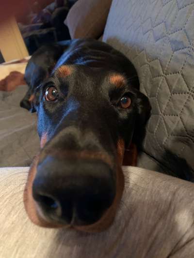 Fotochallange Nr. 57     PORTRÄT.   Beendet!!!!!!!!-Beitrag-Bild