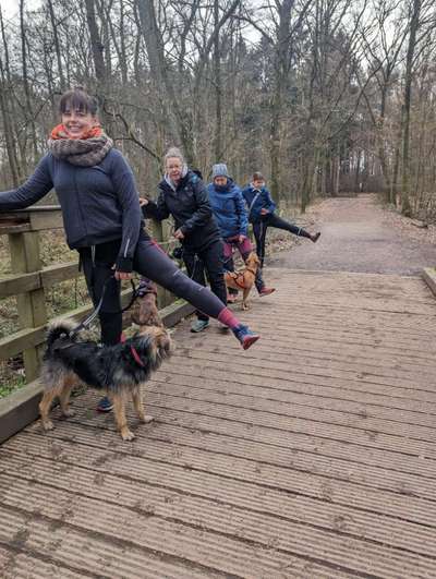 Giftköder-Caniwalk-Bild