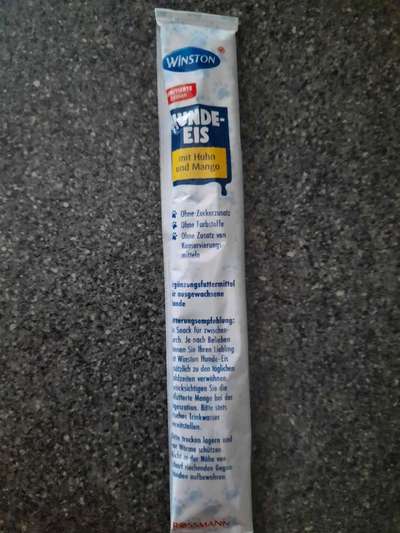 Shih Tzu von Jung bis Senioren-Beitrag-Bild