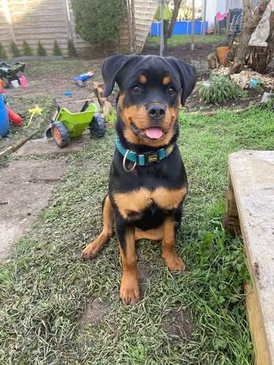 CHALLENGE Nr.17-Beitrag-Bild