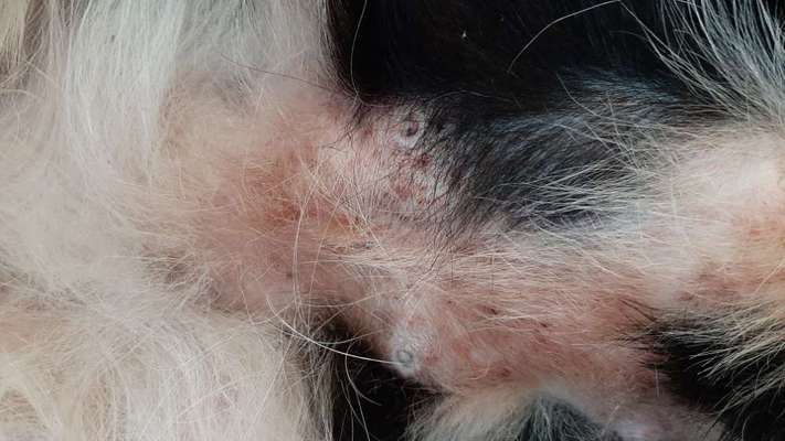 Wissen nicht mehr weiter-Beitrag-Bild