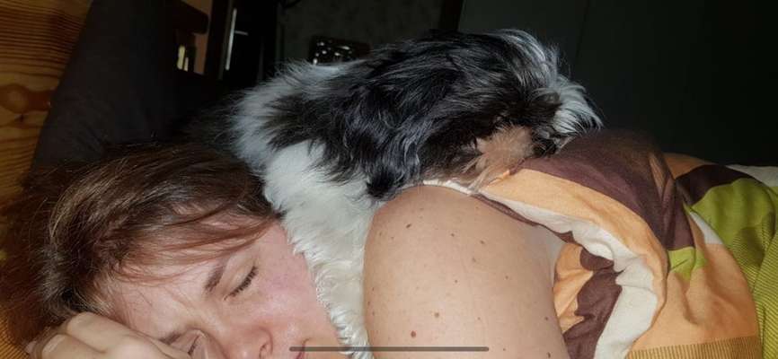 Foto Challenge Nr. 134-Beitrag-Bild