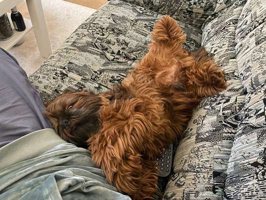 Foto Challenge Nr. 134-Beitrag-Bild