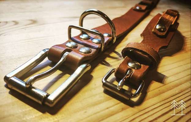 artikel-Beitrag-Bild