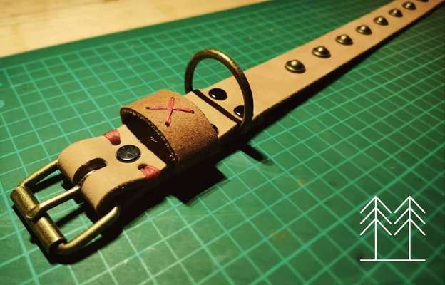 Bastelstunde für den Vierbeiner-Beitrag-Bild