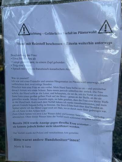 Giftköder-Hund mit Reizstoff beschossen-Bild
