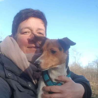 Hundetreffen-Gassirunde in Norderstedt