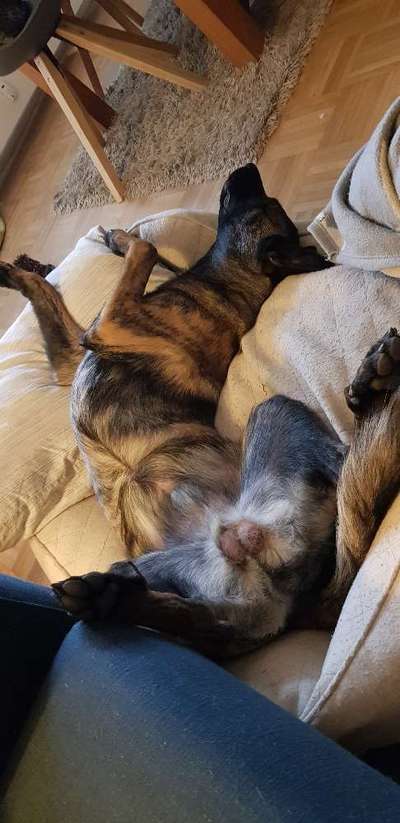 Fotochallenge Nr.65-Beitrag-Bild