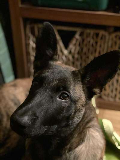 Fotochallange Nr. 57     PORTRÄT.   Beendet!!!!!!!!-Beitrag-Bild