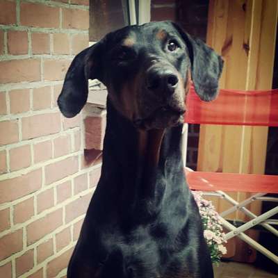 Fotochallange Nr. 57     PORTRÄT.   Beendet!!!!!!!!-Beitrag-Bild