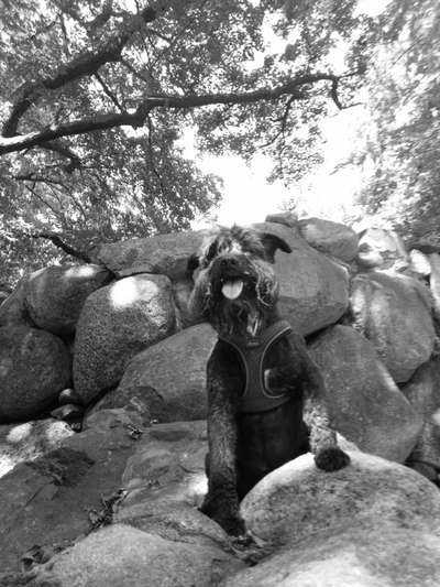 70. Handy-Fotochallenge: Zeitreisen-Beitrag-Bild